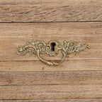 Meuble rustique en bois à porte grillagée, vers 1880